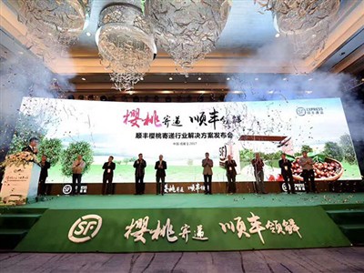 成都順豐櫻桃發布會