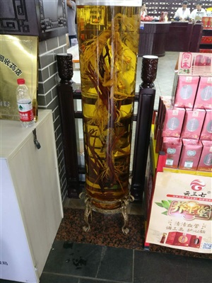 云三七安慶站