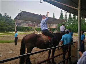 自由活動