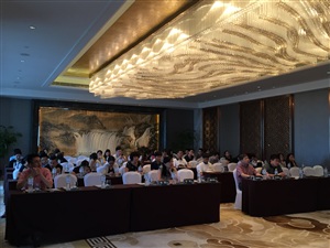 南寧萬達(dá)文華酒店學(xué)術(shù)會議搭建