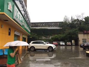 云三七8月20日的路演活動現場
